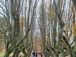 Siemczyno 13.11.24